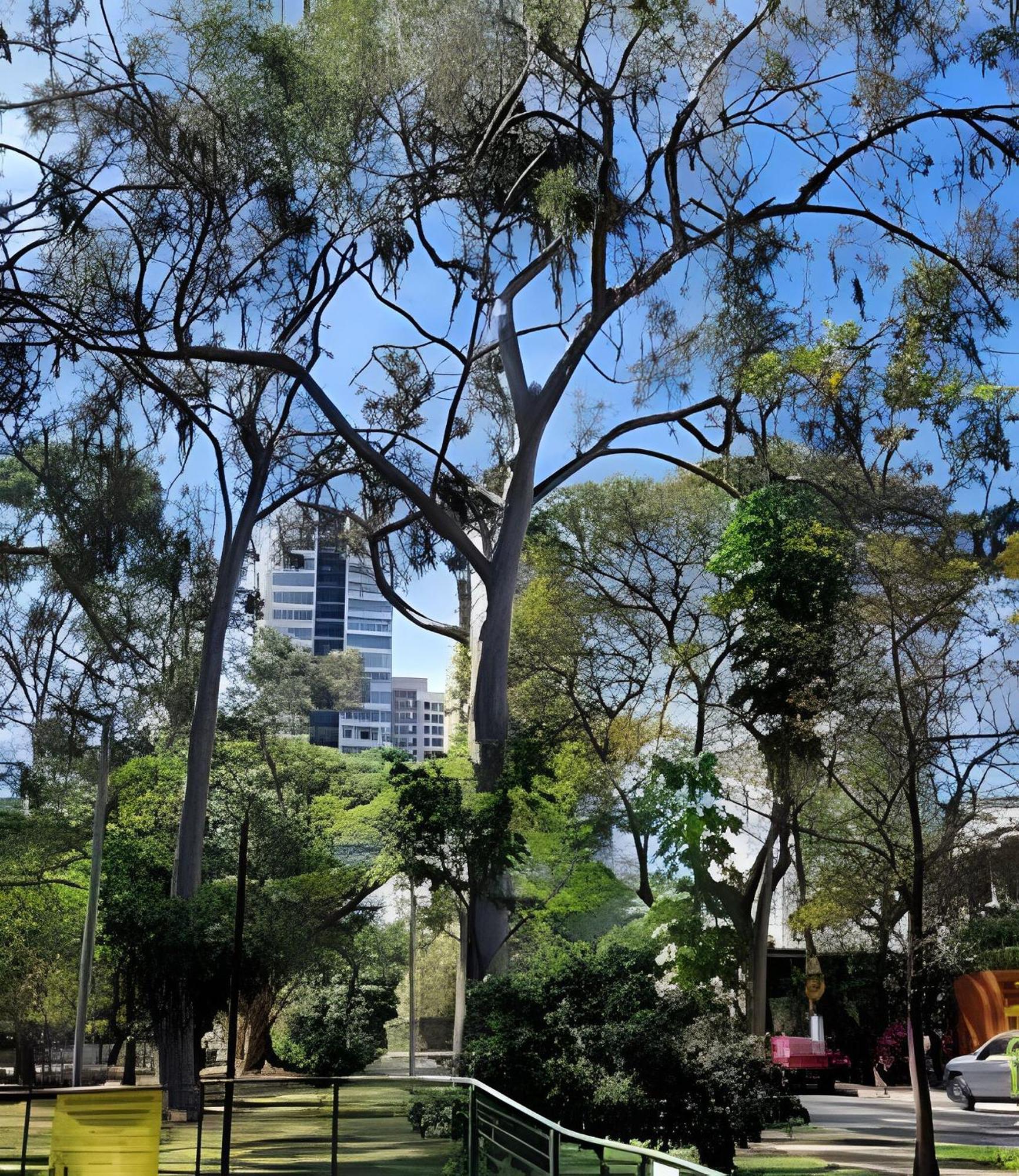 Pinheiros-prox. Allianz Parque E Hosp. Clinicas * São Paulo