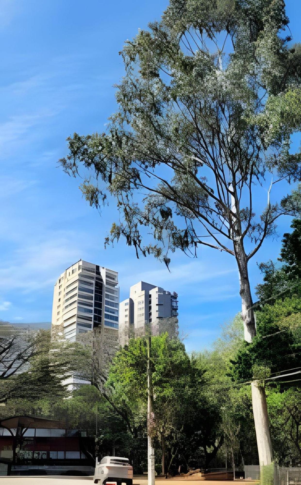 Pinheiros-prox. Allianz Parque E Hosp. Clinicas * São Paulo