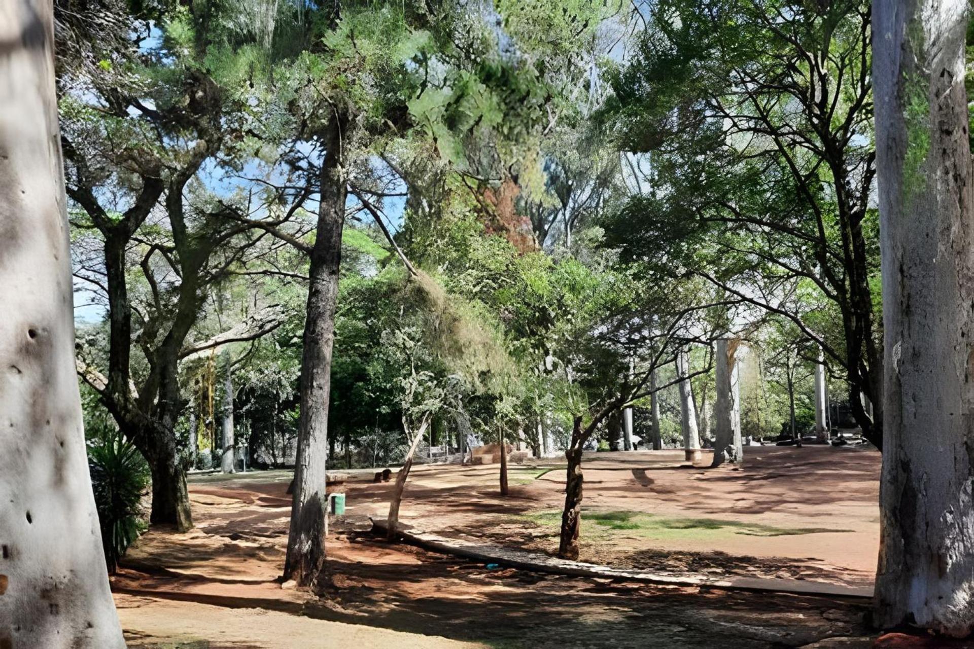 Pinheiros-prox. Allianz Parque E Hosp. Clinicas Apartamento São Paulo